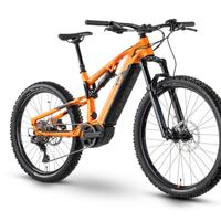 E-Bike Raymon Trailray 140e 8.0