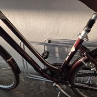 bicicletta olandese pari al nuovi