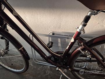 bicicletta olandese pari al nuovi