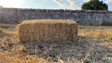 Ballette di paglia compatte