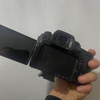 Panasonic Lumix gh5S - obbiettivo 12/60