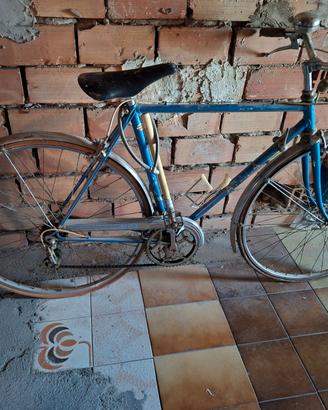 Bicicletta Vintage