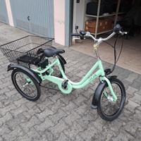 Bicicletta elettrica