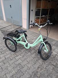 Bicicletta elettrica