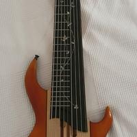 Basso 5 corde con i tasti e 4 fretless.