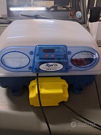 Ripropongo Incubatrice Borotto Real 24 automatica