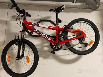 Mtb  Ducati 20 poliici