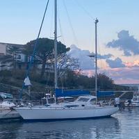 Amel sharki perfetto alla boa