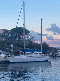 Amel sharki perfetto alla boa