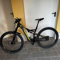 Bici mountain bike specialized