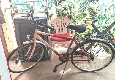 Bicicletta Uomo TOPBIKE