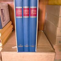 cartografia città di Napoli 3 tomi opera nuova 