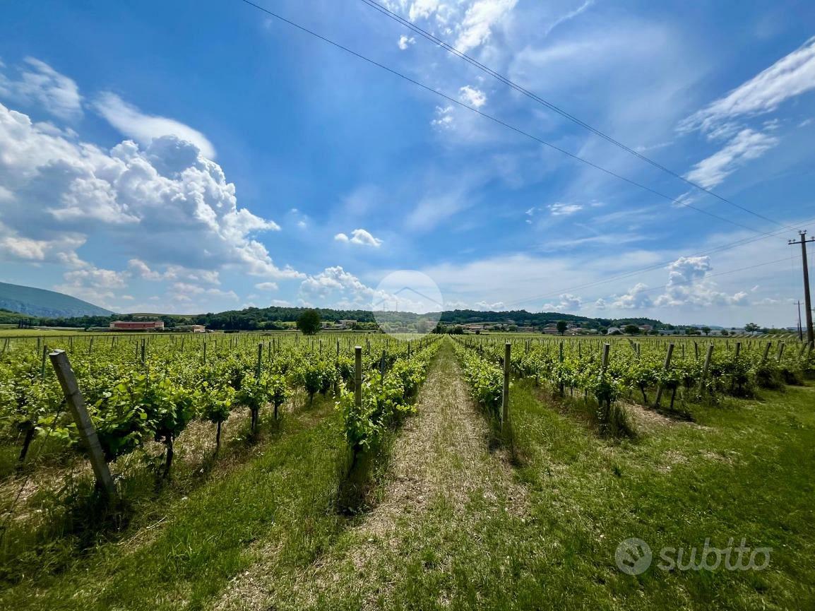 TER. AGRICOLO A CAPRINO VERONESE - Altro