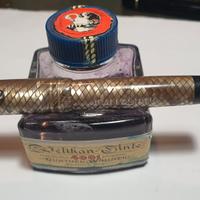 stilografica Palladiana