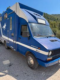 Van trasporto cavalli 2.5 turbo iveco dayli