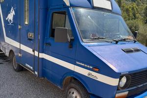 Van trasporto cavalli 2.5 turbo iveco dayli
