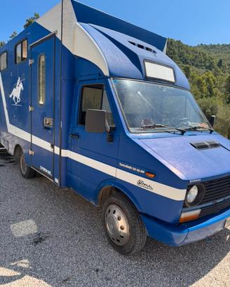Van trasporto cavalli 2.5 turbo iveco dayli
