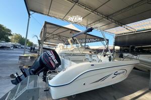 Saver 690 open+ evinrude e-tec 250cv
