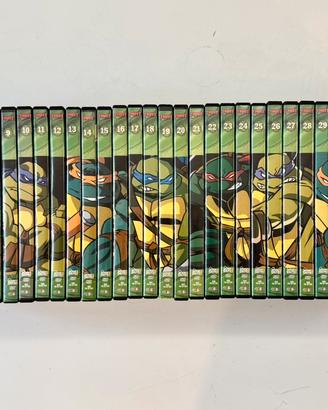 DVD TARTARUGHE NINJA Collezione 35 originali
