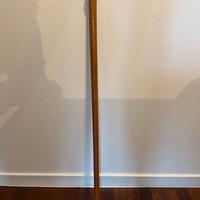 Bastone da collezionismo o passeggio