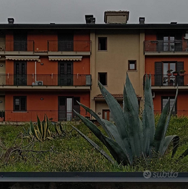 Appartamento in via piano alvanella