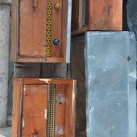 Trappole polline api