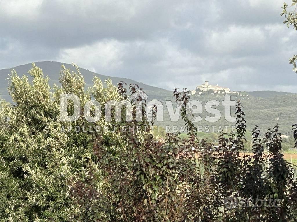 Rustico / Casale di 174 m² con 4 locali a Capalbio - Vista 3