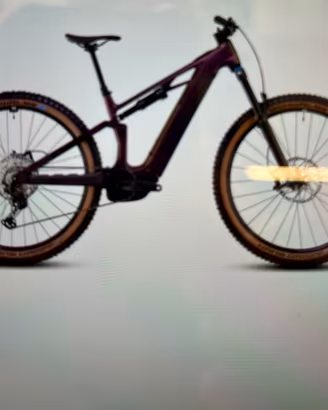 E- Mountainbike