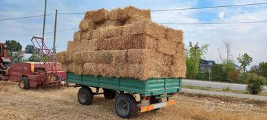 paglia depolverata per lettiera e pacciamatura