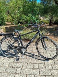 bicicletta elettrica e-bike montana