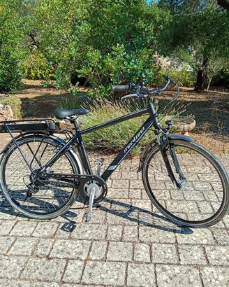 bicicletta elettrica e-bike montana