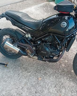 Benelli leoncino 500 trail
