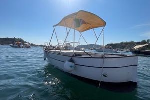 gozzo in vetroresina con 40CV