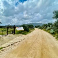 Terreno agricolo di 2000 metri quadri