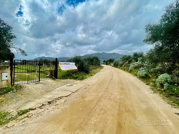 Terreno agricolo di 2000 metri quadri