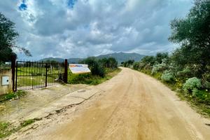 Terreno agricolo di 2000 metri quadri