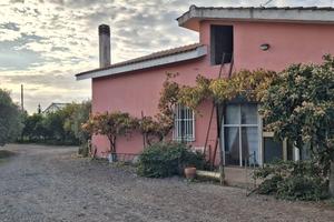 Azienda agricola.subito-disponibile