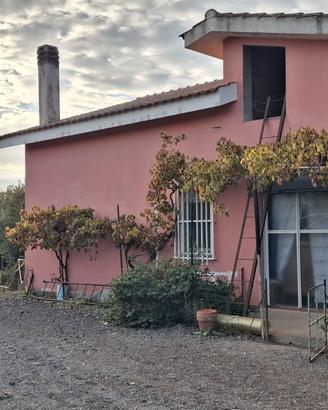 Azienda agricola.subito-disponibile