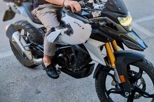 bmw g 310 gs