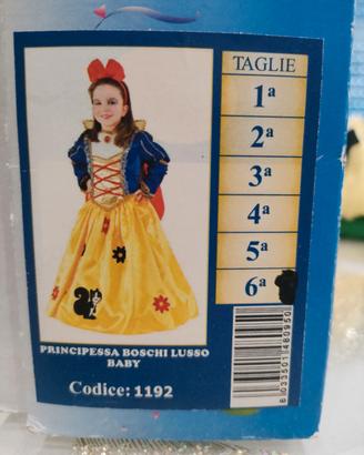 vestito di carnevale Biancaneve Disney veneziano