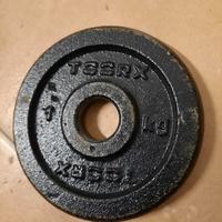 Disco ghisa da 1 kg Toorx