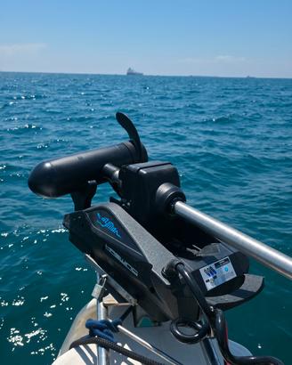 motore elttrico prua haswing cayman 24v 72"