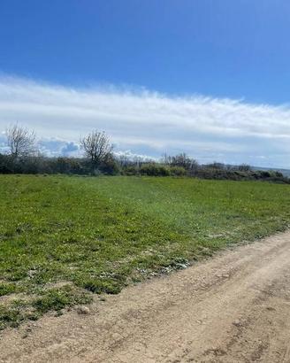 Terreno di 37050 m² a Trevignano Romano