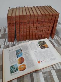 Enciclopedia del Sapere Fabbri (1968)
