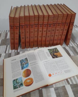 Enciclopedia del Sapere Fabbri (1968)