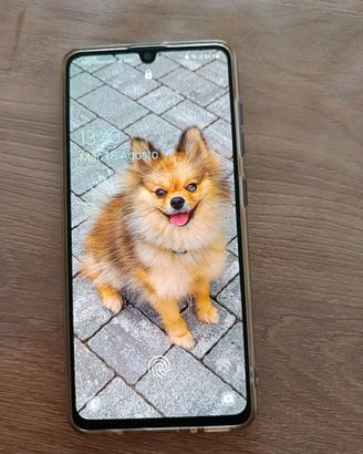 SAMSUNG galaxy A41 64GB 4 GBRAM