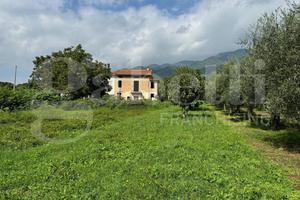 Casa Indipendente Alife [Cod. rif 3169317VRG]