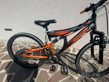 Mtb lombardo