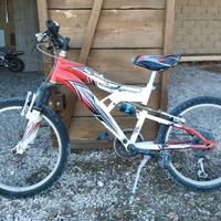 Bici bicicletta mtb