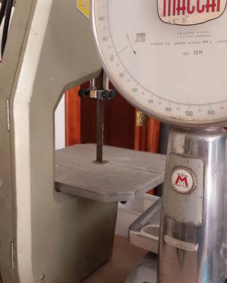 segaossa per macelleria o altro